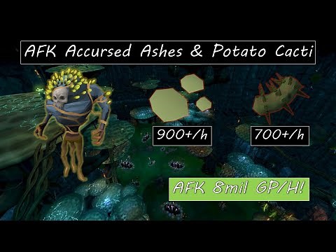 Best Way to AFK farm Accursed Ashes and Potato Cactus | 8mil+ gp/h | AFK killing Fungal Mage