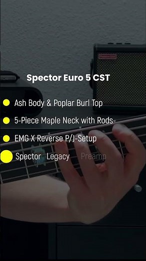 First notes on the Spector Euro 5 CST #bassbonedo #bass #spectorbass #fivestringbass # #bassguitar