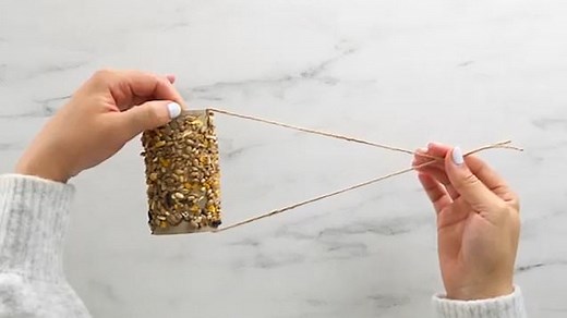 How to make a bird feeder out of the end of a toilet roll
