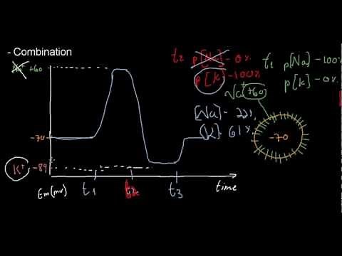 lecture 18 part 2 (Nernst &GHK equations)