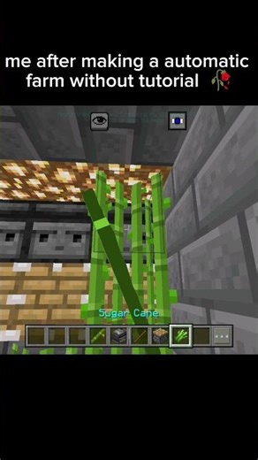 Me After Making a Farm Without Tutorial 😎🔥