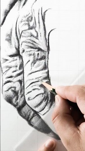 Finally the wait is over 🙌