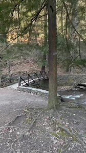 172K views · 13K reactions | Walk With Me: Join for a picturesque stroll along Wolf Creek at Letchworth State Park near Castile, NY. The stream meanders through here before tumbling down into the Genesee River very close to this spot. | John Kucko Digital | Facebook