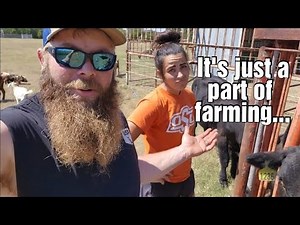 Bad day to be a Bull | California Bander