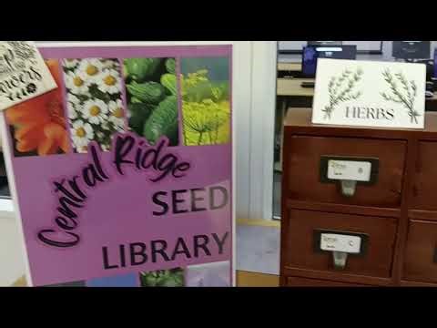 The Hills Have Seeds!! Walking to get Free Seeds For Anyone.