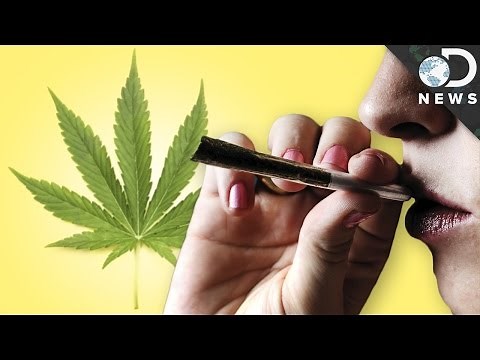 Why Weed Is A Lot Stronger Today