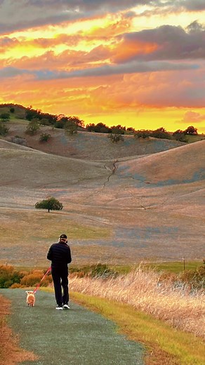 #dognamedRuby #phototrend #sunset #holidaycountdown #northernlights