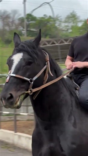 10 апреля 2026 г.