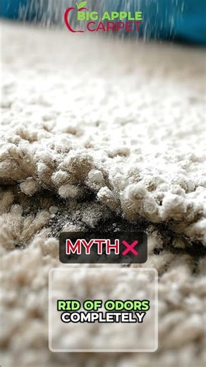 Carpet Powder Doesn’t Remove Odors… It Hides Them!