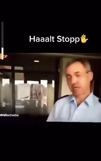 Funny Halt Stop Memes That Will Make You Laugh