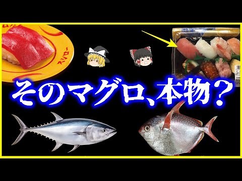 【ゆっくり解説】スーパーや回転寿司のマグロはアカマンボウ？激安寿司のマグロの秘密を解説/そもそもアカマンボウとは何者なのか？