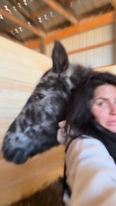 No notes 🖤 Happy New Year Family from Betty Boop, and all of us here at the Happy Home. . . We love you. #horses | Happy Heart-Happy Home Farm and Rescue