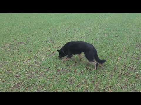 Tracking work in hard condition