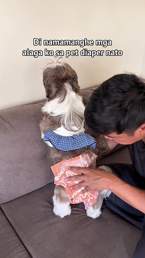 Dog Diaper for Pets: pet diaper tips and fit guide