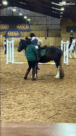Getting a LEG UP! Mounting My Horse the Proper Way 🐎💪