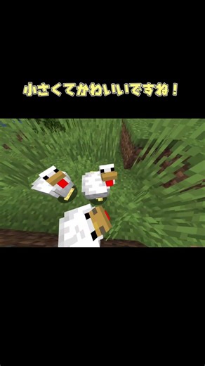 次期アプデで動物の赤ちゃんの見た目が変更！【Minecraft】【マインクラフト】#minecraft #マイクラ #マインクラフト #ゆっくり実況 #shorts