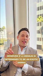 Gremlins?