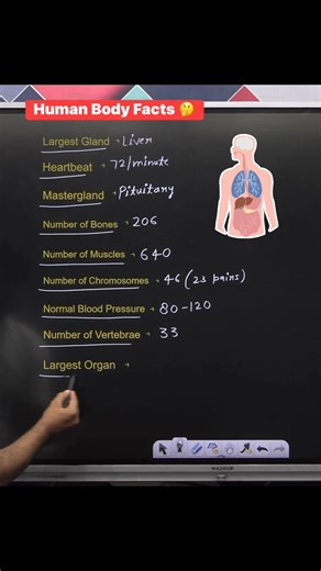 👉 Human Body Facts 🤔 !! #facts #humanbody #biology #knowledge #education #study #sciencefacts #exams #NEET #upsc #gkquestions #knowledgeispower #reelsviralfb #facebookreelsviral #fbreelsvideo #facebookreelsvideo #fbreelsviral #facebookreels #reelsviral #reelsfb | Krishna Thakur