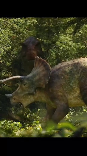 Just pondering the mysteries of the Mesozoic Era. 🤔 #fossils #dino #dinosaur #prehistoric #paleontology #extinctanimals | Love Dinosaurs