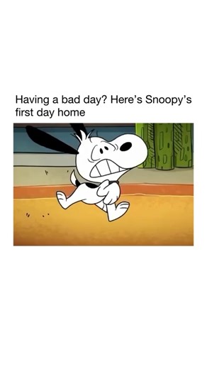 🇺🇸 Snoopy Lover's Us 🇺🇸 | Snoopy is one of the most beloved cartoon dogs in history, created by Charles M. Schulz for his comic strip Peanuts, which debuted in 1950.... | Instagram