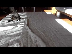 まるとはな６。-Maru&Hana6.-