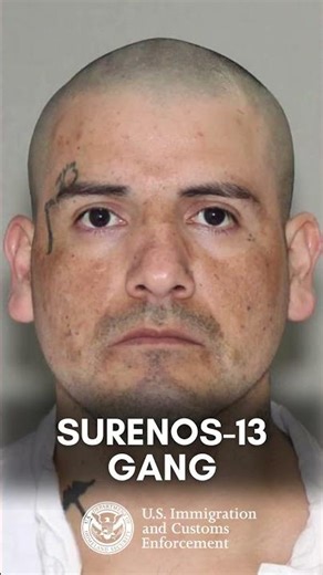 350+ illegal alien gang members arrested by #ICE in Texas