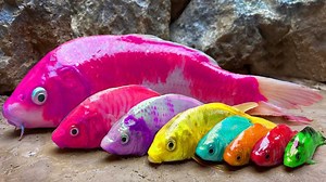 Koi Fish Hunting Pink Eel Stop Motion Cooking ASMR Stop Motion Cooking / Colorful Carp Funny Video 👉 WARNING: THIS IS NOT REAL, DO NOT TRY AT HOME! Hello everyone, welcome to my CREATIVE COOKING channel. Don't miss any videos because it's very interesting. If you are interested in my channel, please like and subscribe to my channel. It is our honor. Thank you! ► More: 🖤 ​​Goldfish In The Mud Cave 50M views: https://www.youtube.com/watch?v=xRs6Y... 🖤 ​​Carp Hunting Giant Eel 10M views: https:/