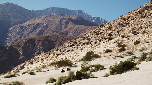 504 reactions · 59 shares | The Joshua Tree Half Marathon is a one-of-a-kind NIGHT RACE that takes you through the desert, under the stars and colorful lights lead you to the finish! Every runner starts with a glow-in-the-dark shirt and every finisher will earn a well-deserved glow-in-the-dark medal! Are you up for the challenge?  Race Date: November 4, 2023 | Vacation Races | Facebook