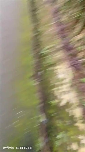 NOTE (@arthurru30)’s video of Pit bull