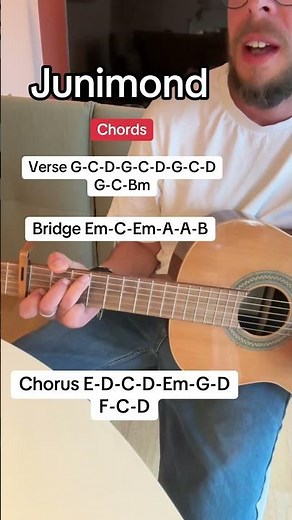 Junimond #acousticcover #guitarlesson #junimond #rioreiser #echt