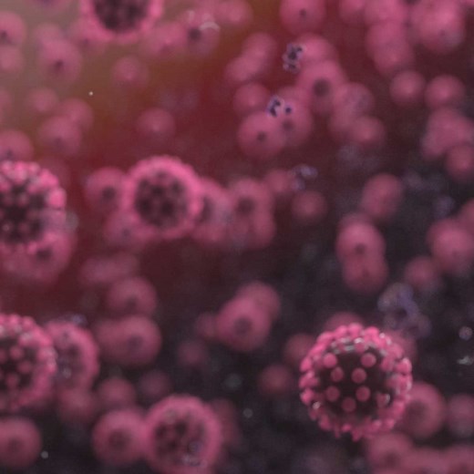 Coronavirus Research