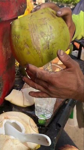 Cutting Coconut With A Master Chef The Art of Culinary Precision