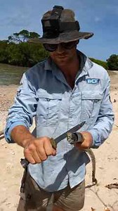 Island Survival Challenge Begins NOW!