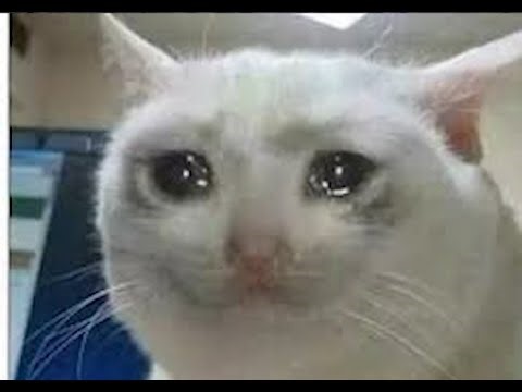 My strange Christmas Experience (AUT)