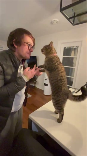Cat Performs Tricks with Enthusiastic Trainer