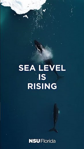 Planning for the Future of Sea Level Rise | NSU Ocean