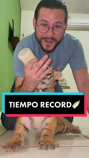 Caring for a Baby Tiger Cub: Heartwarming Moments