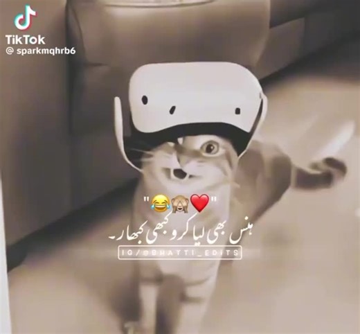 Earth Meme (@earth.meme)’s videos with original sound - Earth Meme