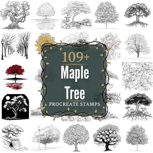 Maple Tree Procreate Stamps | PNGs | 109  Detailed Illustrations (Digital Download)