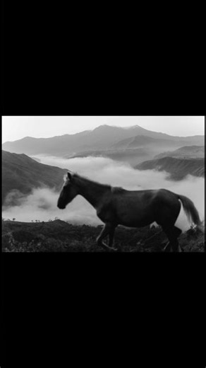 Lost in transition 💨