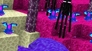 Changes to the end in Minecraft that players wanted to see added