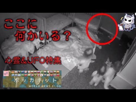ポッカキット心霊＆UFO特集【悪魔の実況】