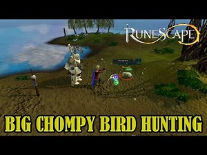 Big Chompy Bird Hunting - Let's Play: RuneScape - RS3