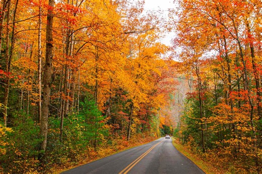 We Asked Travel Experts Their Favorite Fall Foliage Destination in the U.S.—and They All Picked the Same Place