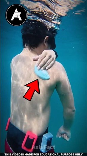 😱 This Fish WILL Stick To You!