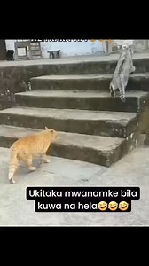 Francis Mutuma on Reels