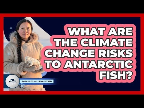 What Are The Climate Change Risks To Antarctic Fish?
