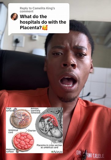 Understanding Placenta Management After Delivery