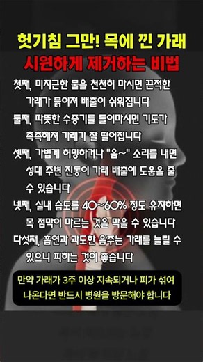 헛기침 그만! 목에 낀 가래 시원하게 제거하는 비법 #가래제거 #목가래 #기관지건강 #건강상식