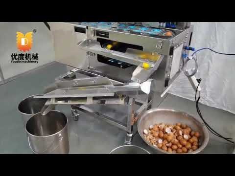 Egg Cracking & Separating Machine#foodprocessing #machine 